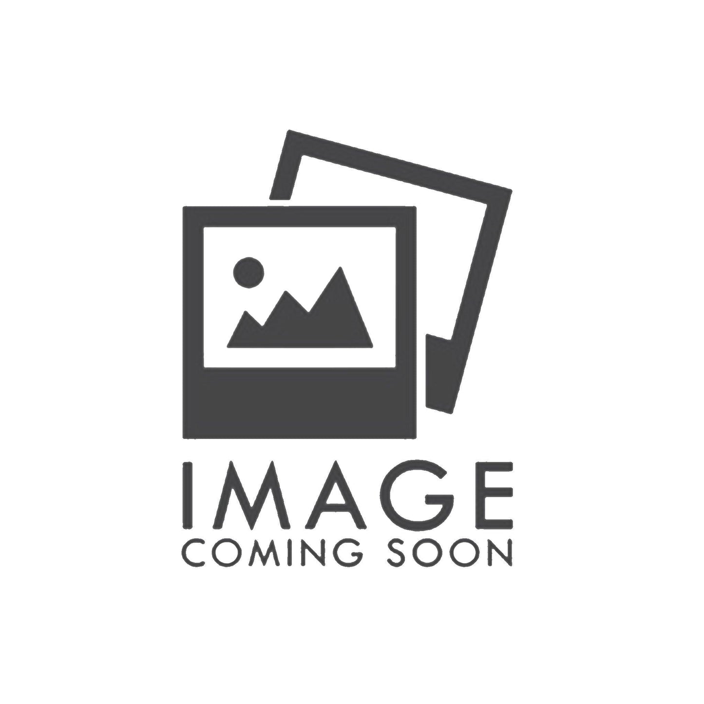 Pro Series Covert Sig P229 Holster