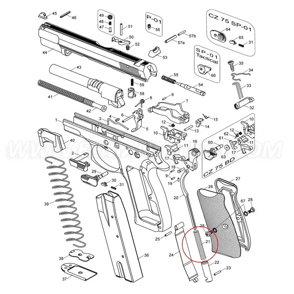 Eemann Tech CZ 75 / Shadow Main Spring image 1